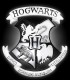 Lampe 3D Harry Potter Blason Hogwarts,  Harry Potter, Boutique Harry Potter, The Wizard's Shop